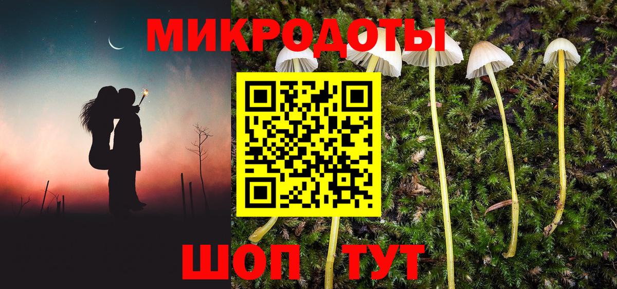 Краснознаменск  Галлюциногенные грибы GOLDEN TEACHER  Вход с VPN 